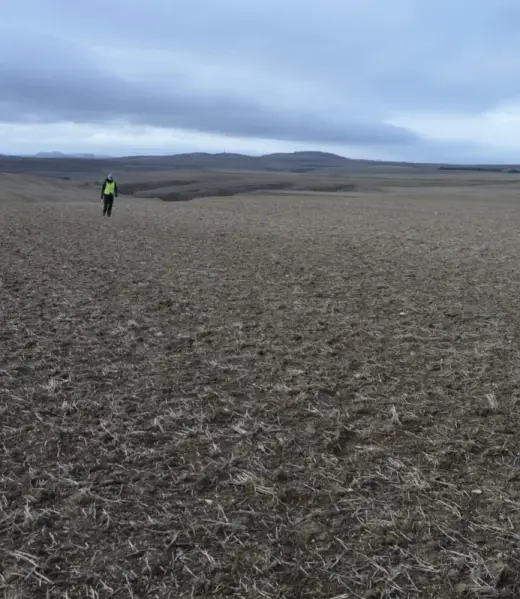 Trabajadores en el campo desertico
